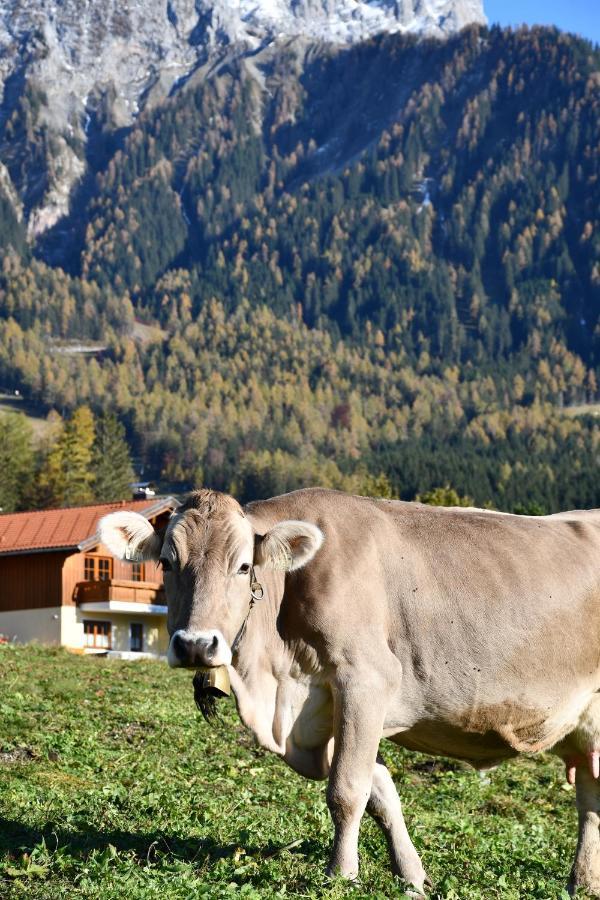 Haus Sieben Zwerge Leilighet Ehrwald Eksteriør bilde
